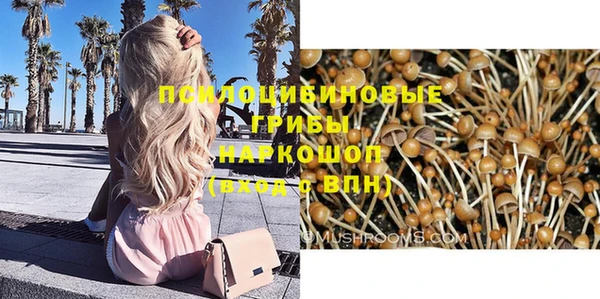 а пвп мука Алзамай