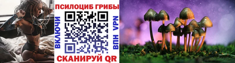Галлюциногенные грибы ЛСД  даркнет сайт  Волхов 