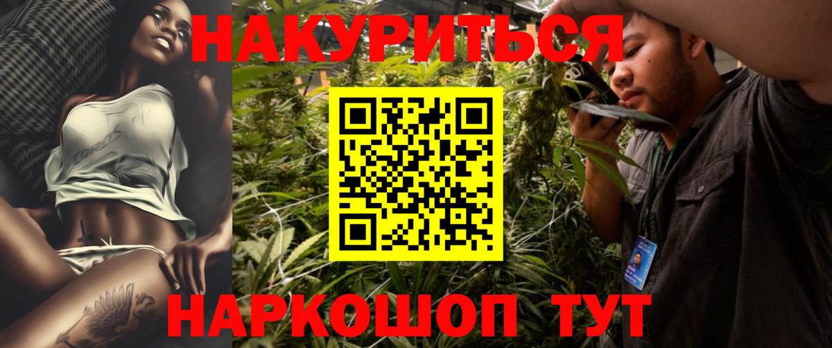 Каннабис индика Волхов